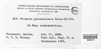 Image Associated With the Occurence